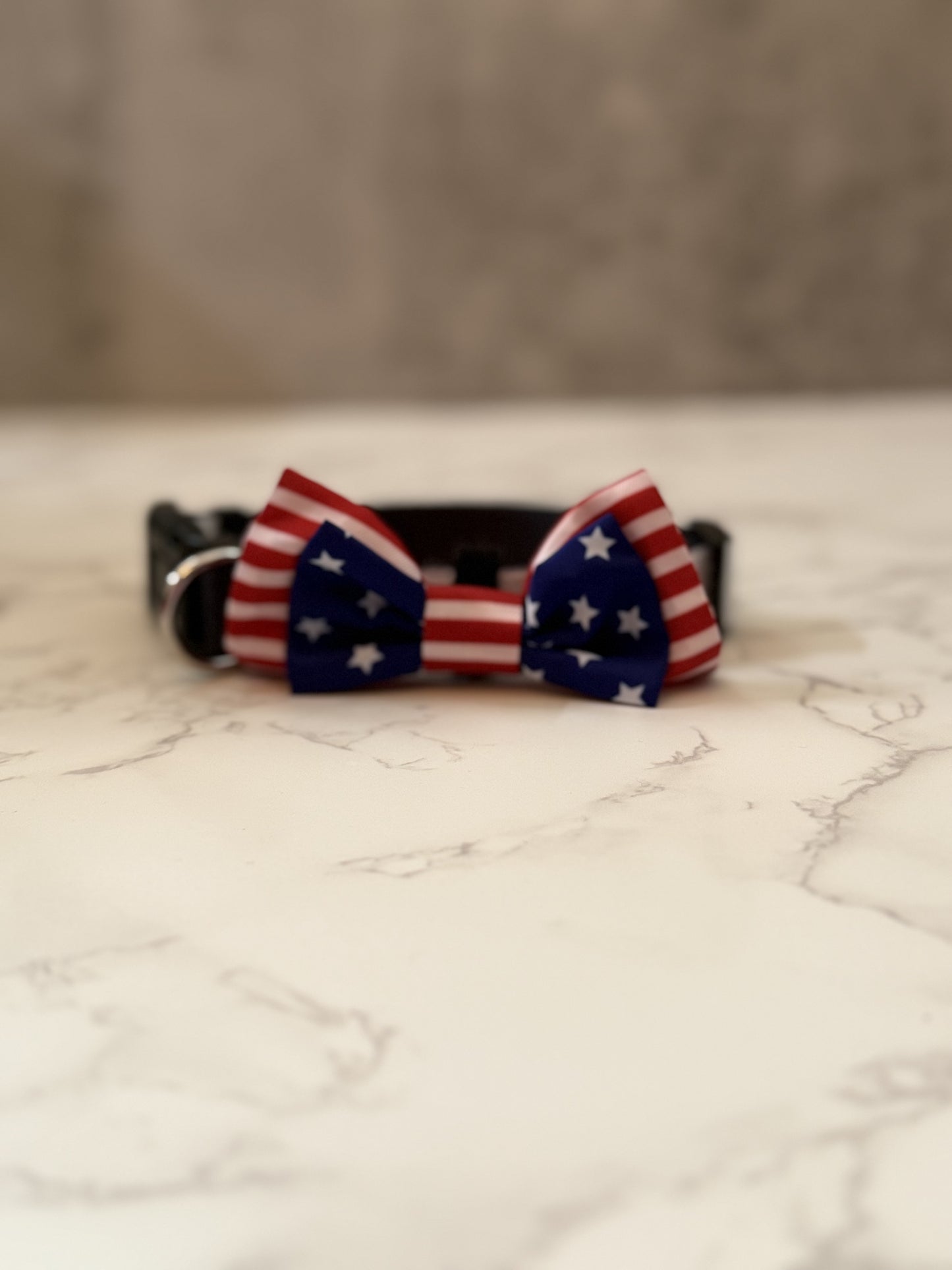 Paws for Freedom dog collar